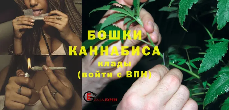 мориарти как зайти  Котельнич  МАРИХУАНА LSD WEED  mega ONION 